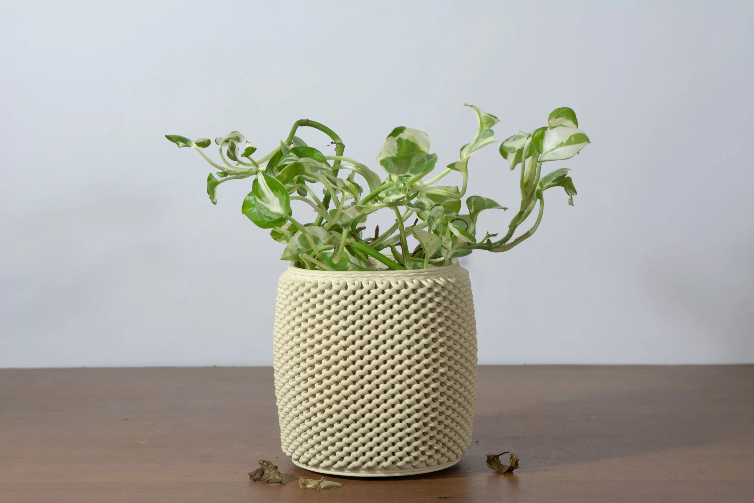 loopy main- 3d printer ceramic pot