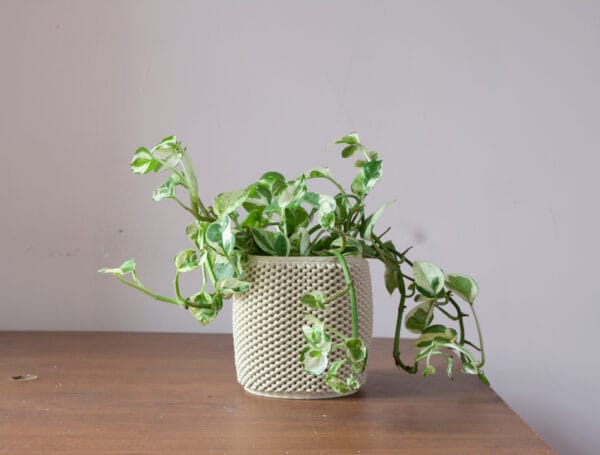 loopy plant- 3d printer ceramic pot