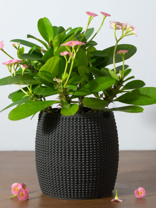 deceitful main- 3d printer ceramic pot