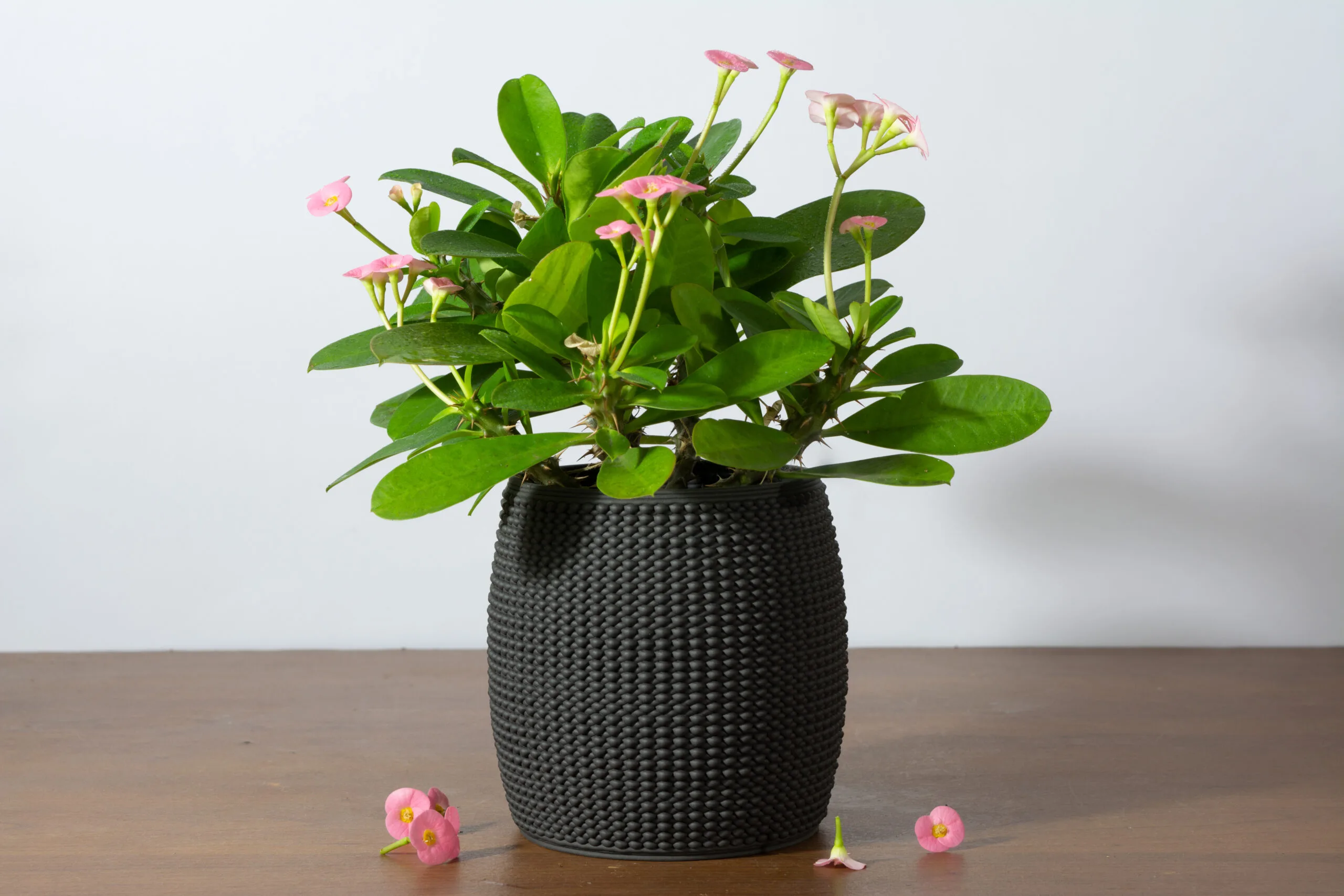 deceitful main- 3d printer ceramic pot