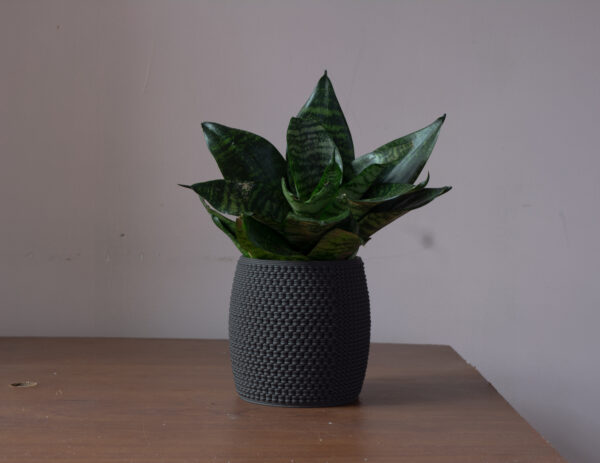 deceitful plant- 3d printer ceramic pot